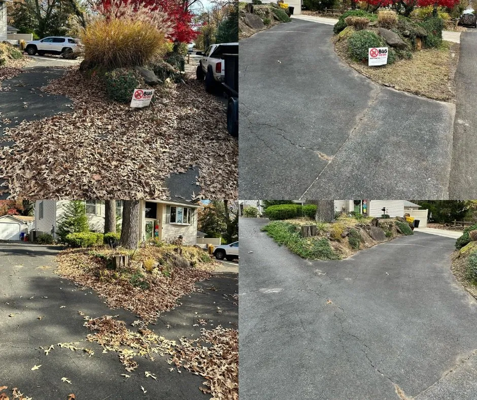 Top-rated residential landscaping for homes in Pasadena, MD by Yrd.worx Landscaping