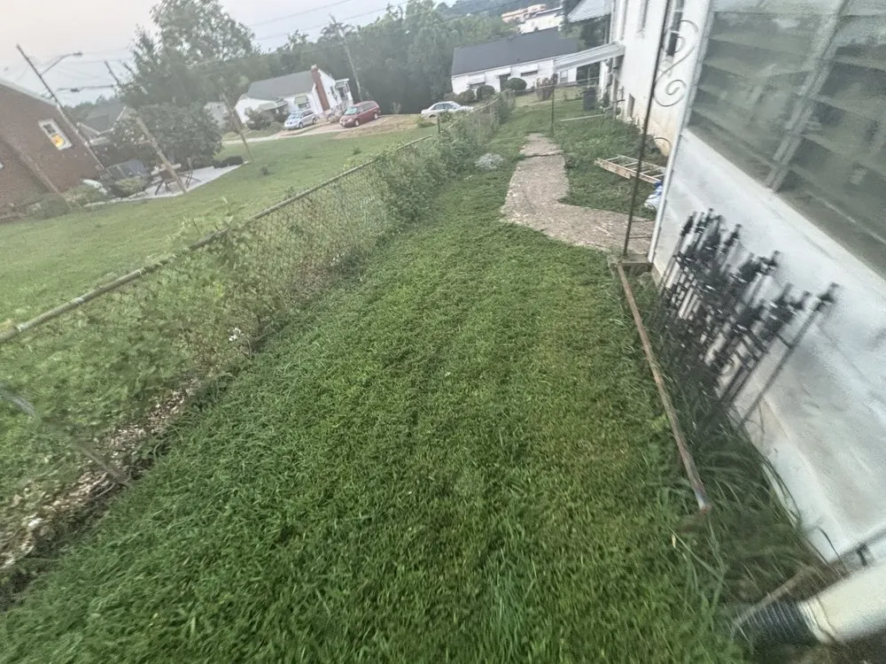 Professional landscaping services experts serving Lynchburg, VA - Yrn Mowing