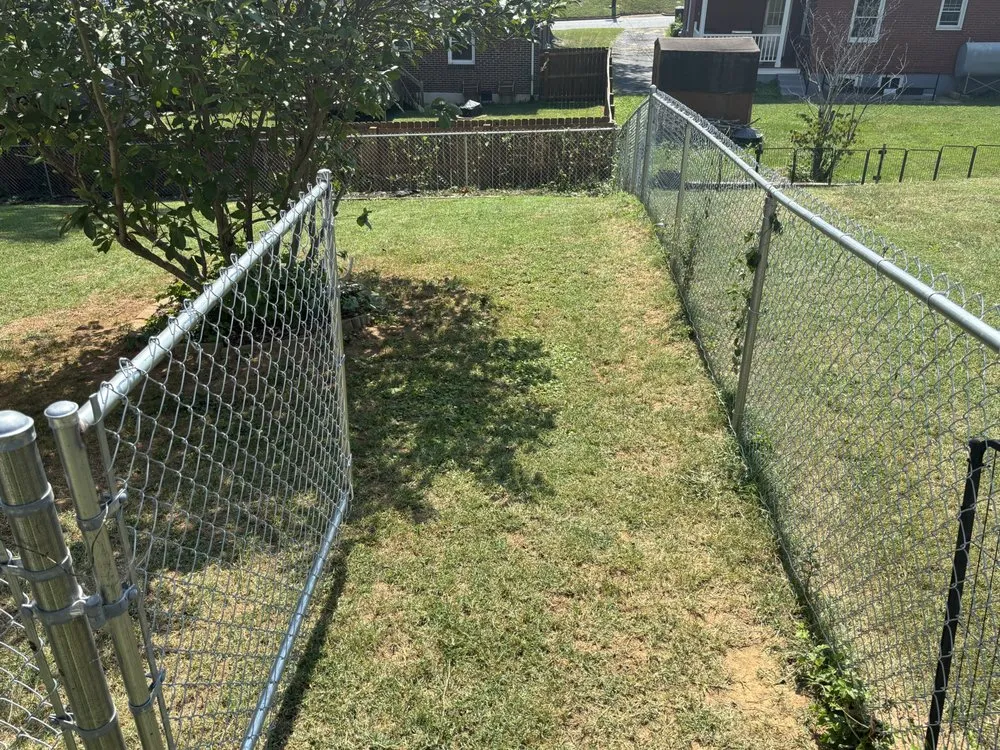 Local lawn care service experts serving Lynchburg, VA - Yrn Mowing