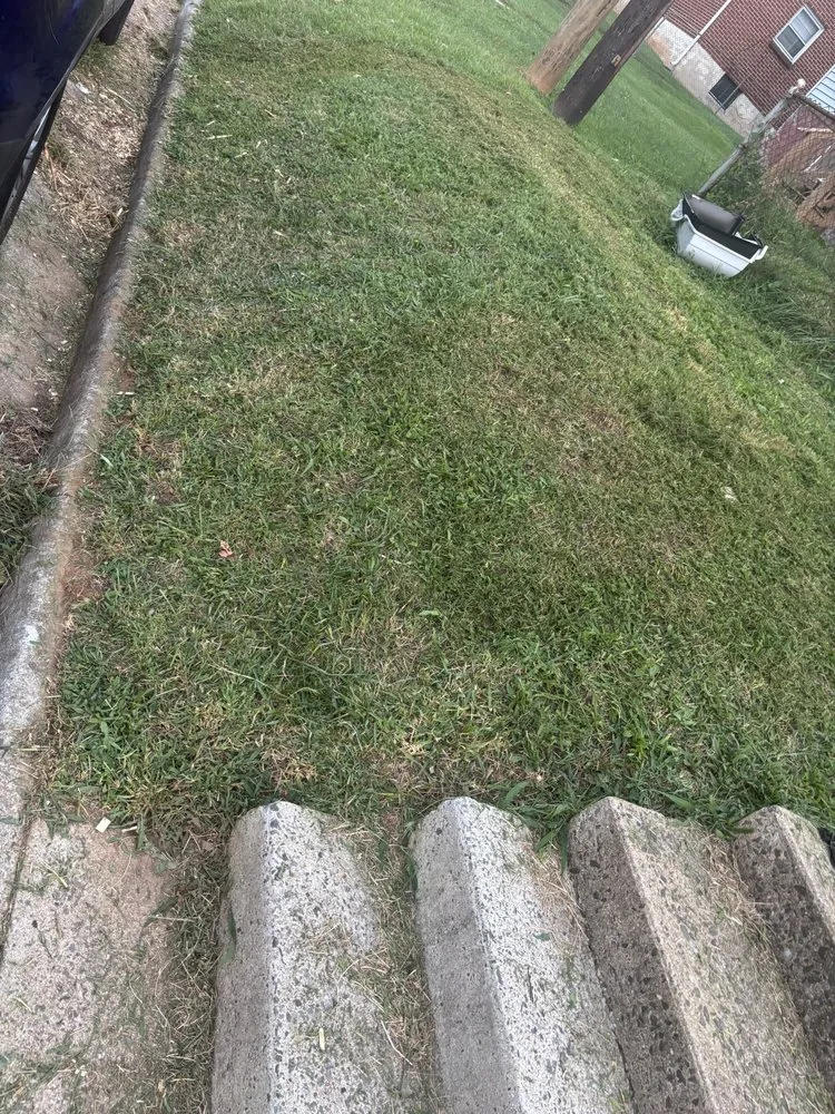 Reliable residential landscaping in Lynchburg, VA - Yrn Mowing