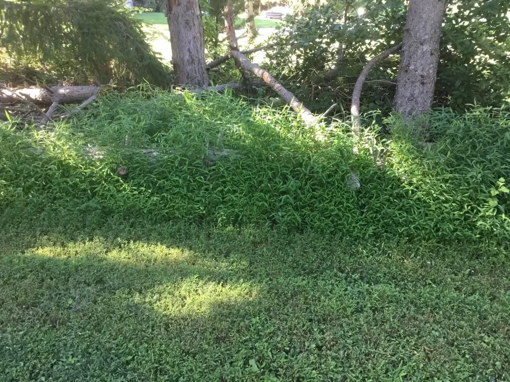 Affordable outdoor landscaping experts serving Bernards, NJ - Y’s Landscaping