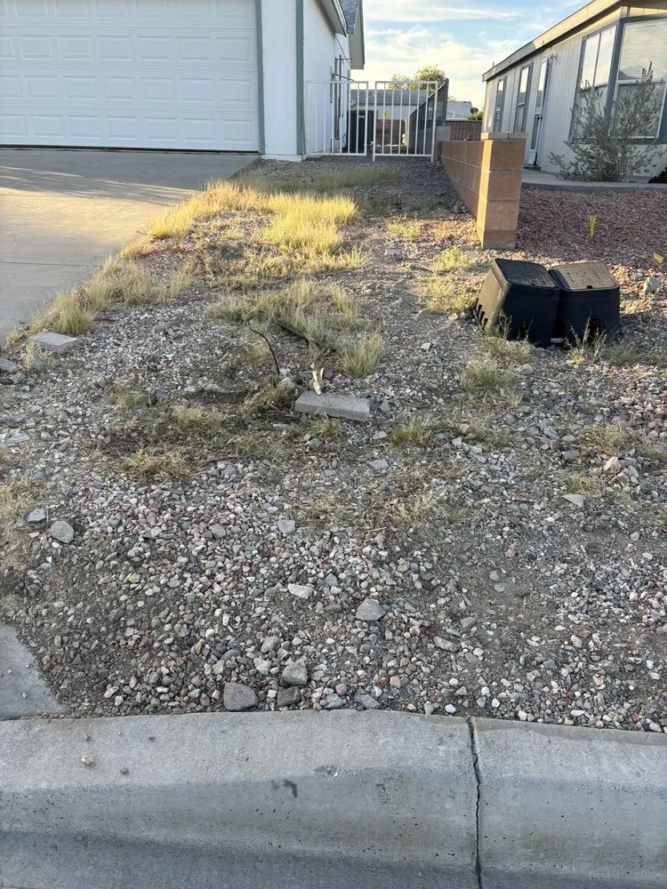 Affordable landscaping services in Fort Mohave, AZ - Y’s Landscaping