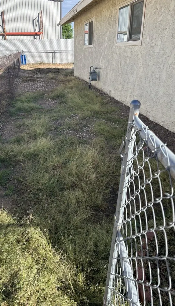 Affordable landscaping services for year-round maintenance in Fort Mohave, AZ by Y’s Landscaping