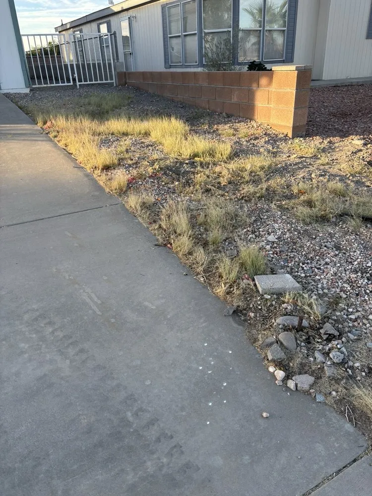 Expert garden landscaping in Fort Mohave, AZ - Y’s Landscaping