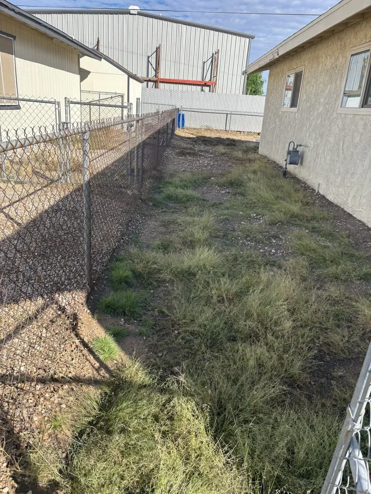 Expert yard cleanup service for homes across Fort Mohave, AZ - Y’s Landscaping