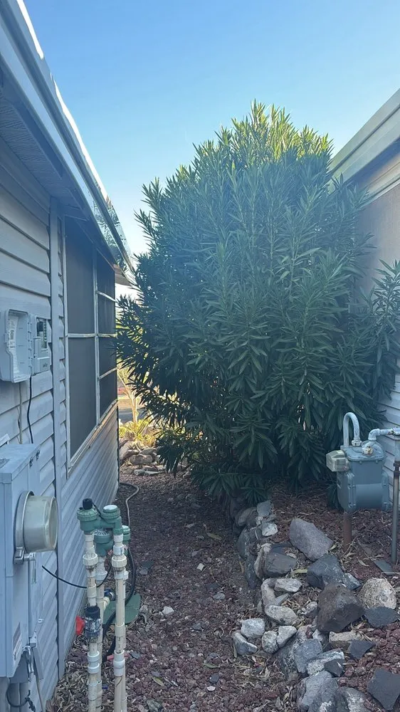 Professional landscape design experts serving Fort Mohave, AZ - Y’s Landscaping