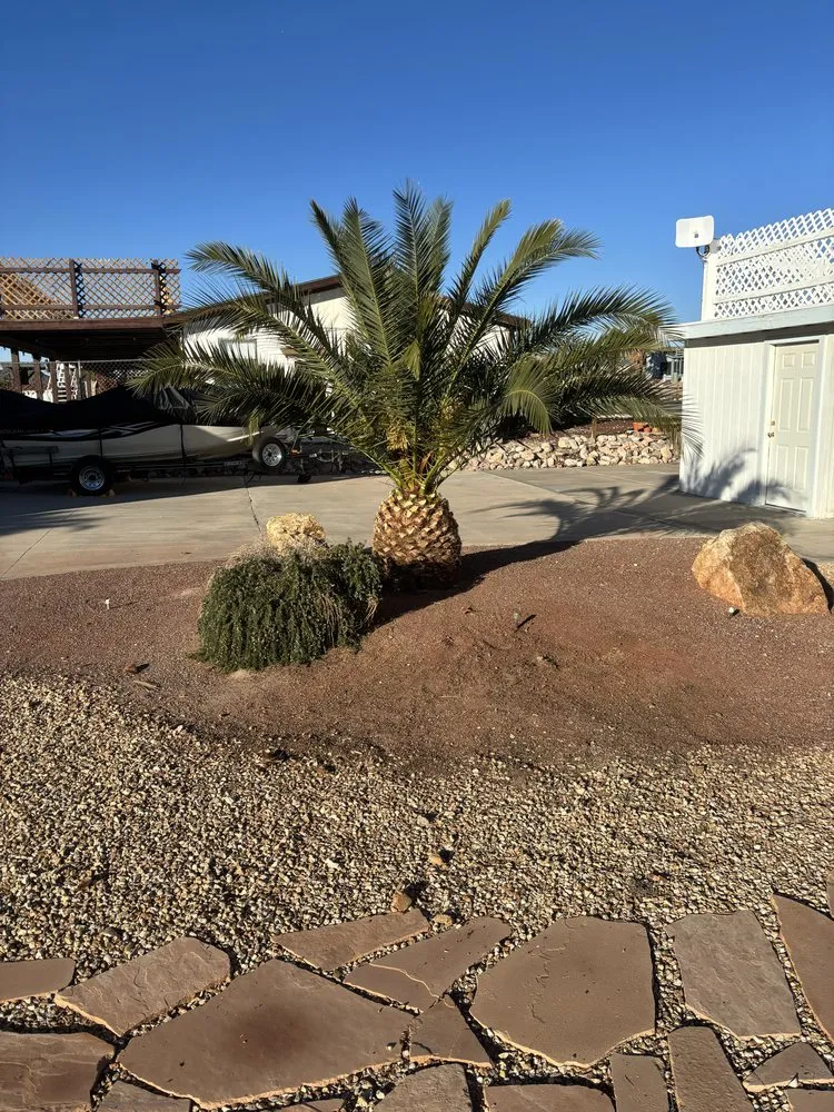 Expert landscape design in Fort Mohave, AZ by Y’s Landscaping