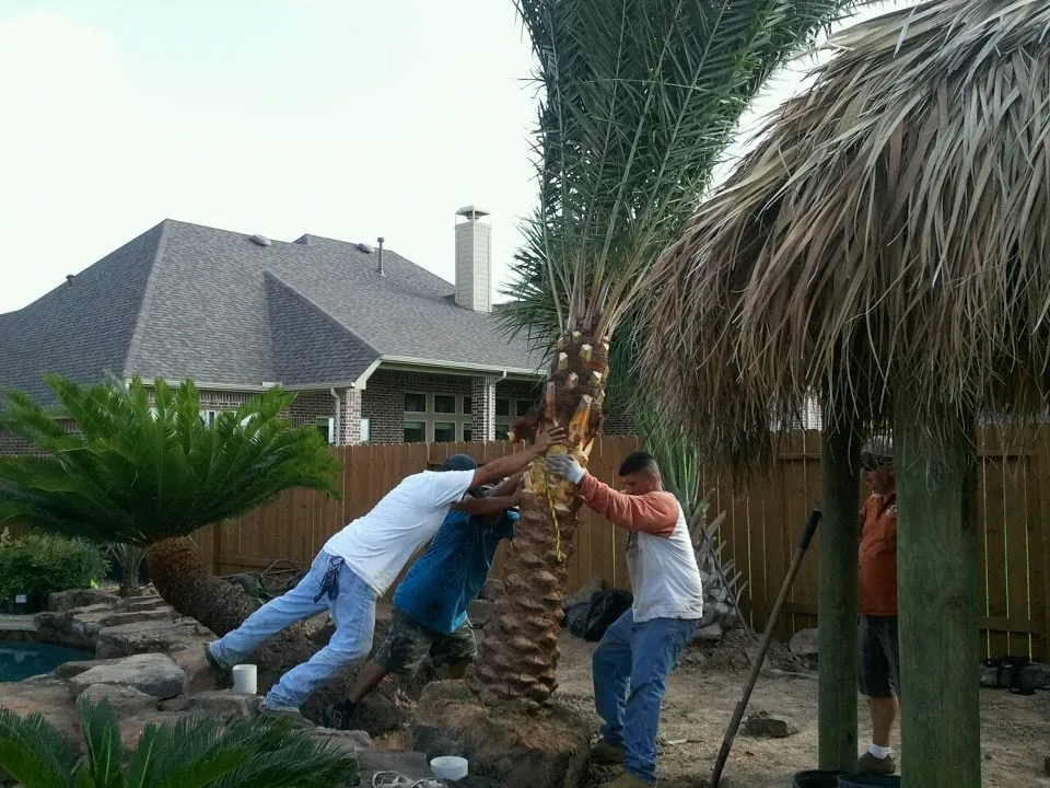 Trusted lawn mowing service experts serving Waller, TX - YSG Landscaping