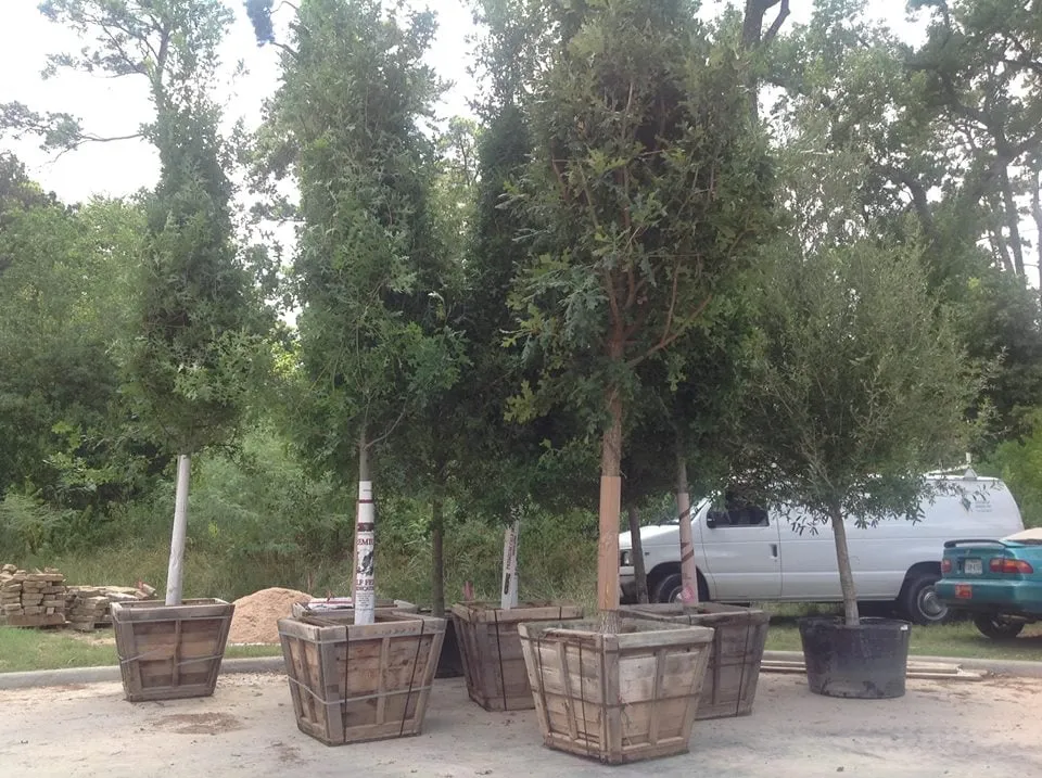 Professional garden landscaping in Waller, TX by YSG Landscaping