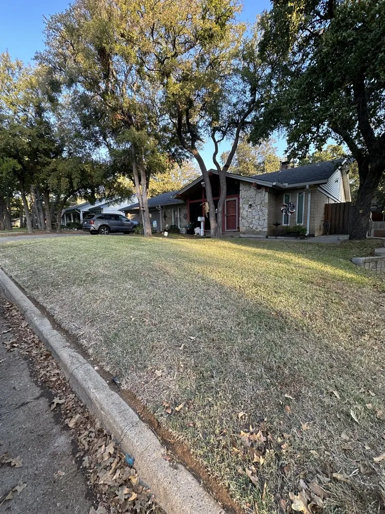 Affordable lawn mowing service in Mansfield, TX by Ysidro Lawn Care