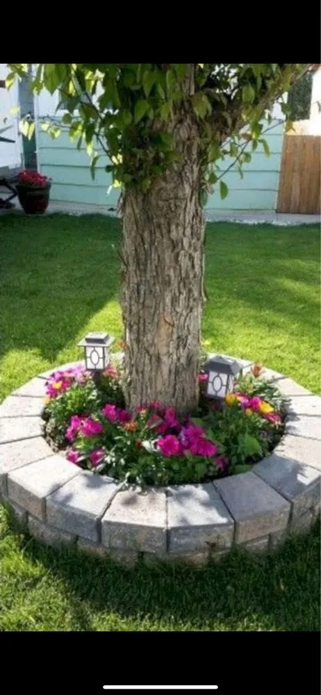 Affordable landscape design for year-round maintenance across Holiday, FL - YSR Lawn & Landscape