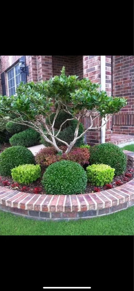 Professional lawn mowing service in Holiday, FL by YSR Lawn & Landscape