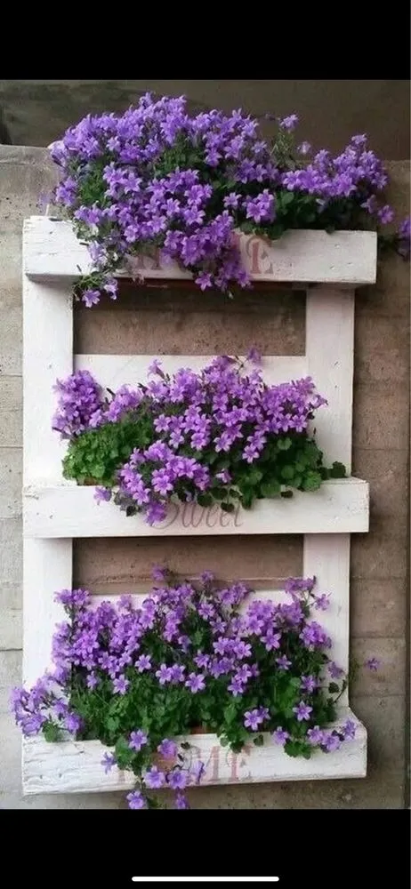 Affordable outdoor landscaping in Holiday, FL - YSR Lawn & Landscape