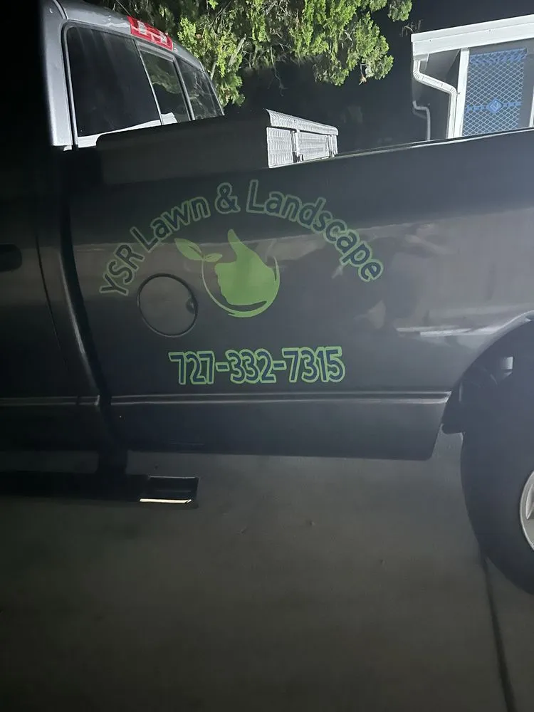 Trusted yard cleanup service in Holiday, FL - YSR Lawn & Landscape