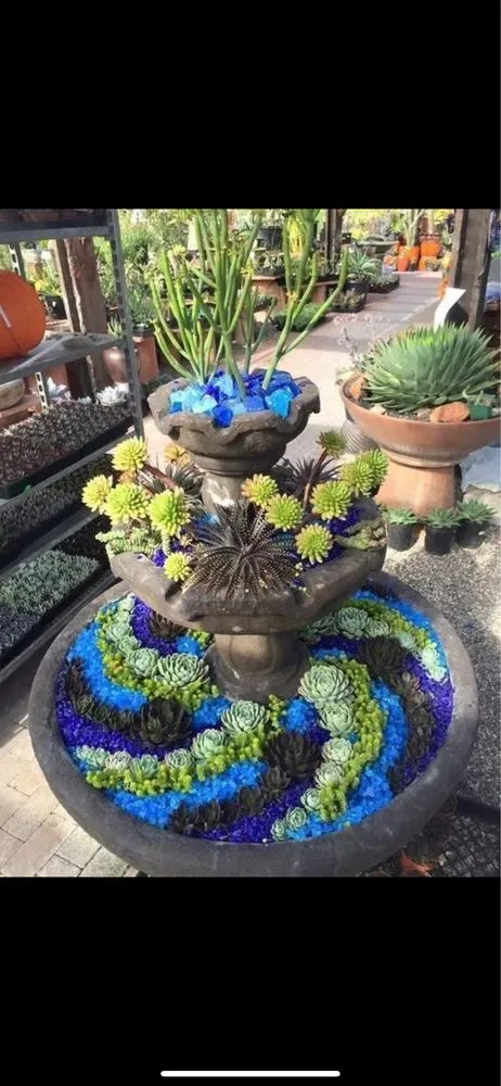 Professional garden landscaping for outdoor upgrades across Holiday, FL - YSR Lawn & Landscape