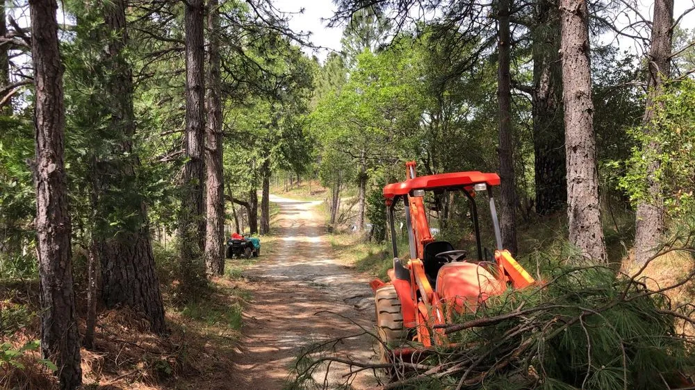 Local landscape design for residential properties across Nevada City, CA - Yuba Land Management