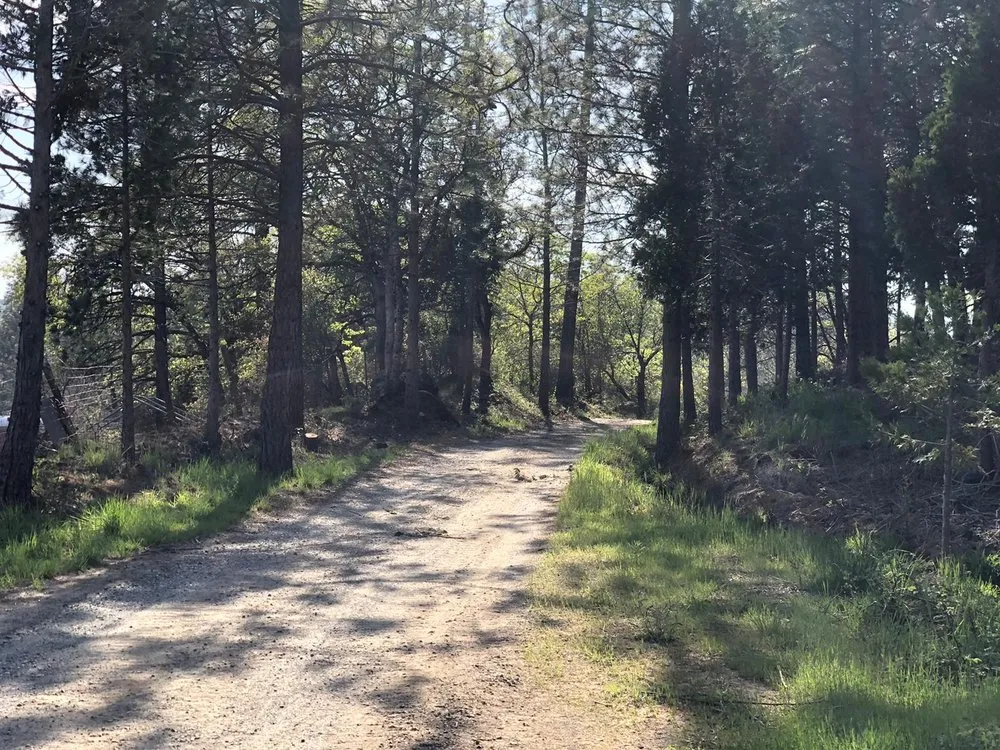 Custom yard cleanup service near you in Nevada City, CA by Yuba Land Management