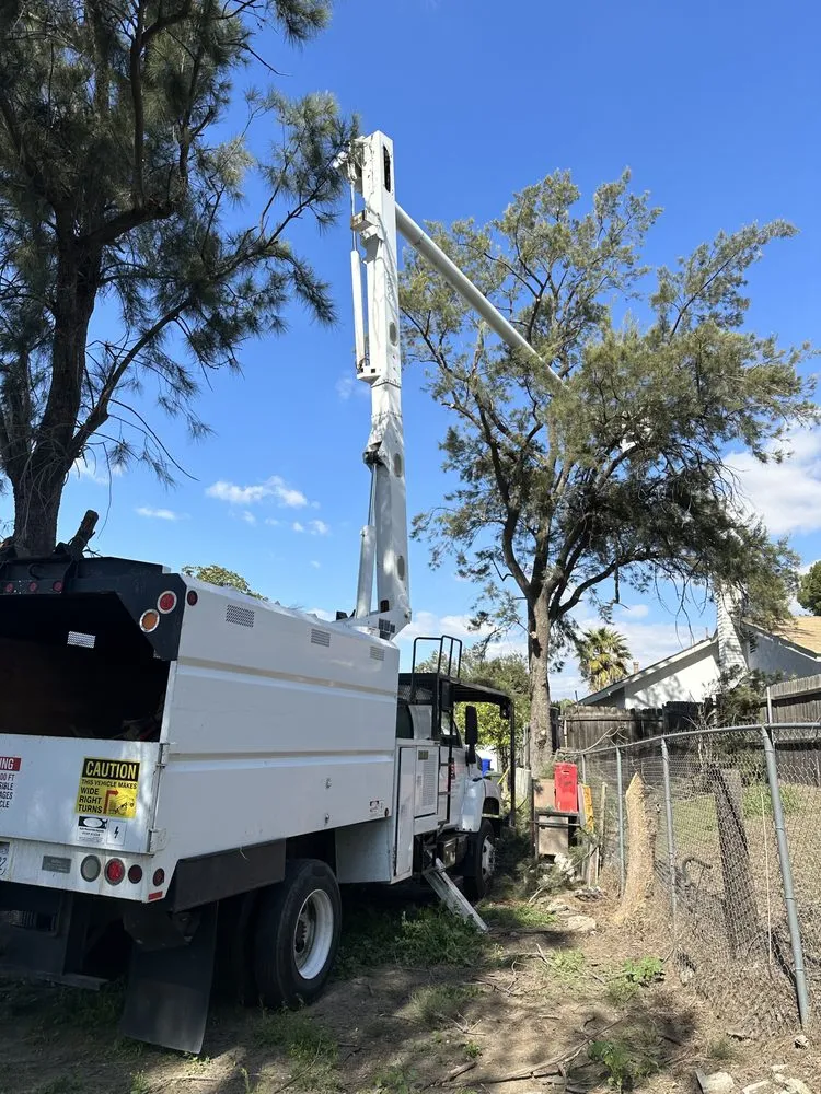 Affordable lawn mowing service for year-round maintenance across Yucaipa, CA - Yucaipa Tree Maintenance