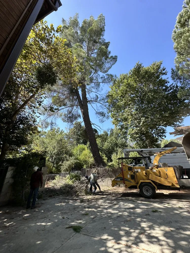 Top-rated landscaping services for beautiful yards in Yucaipa, CA by Yucaipa Tree Maintenance