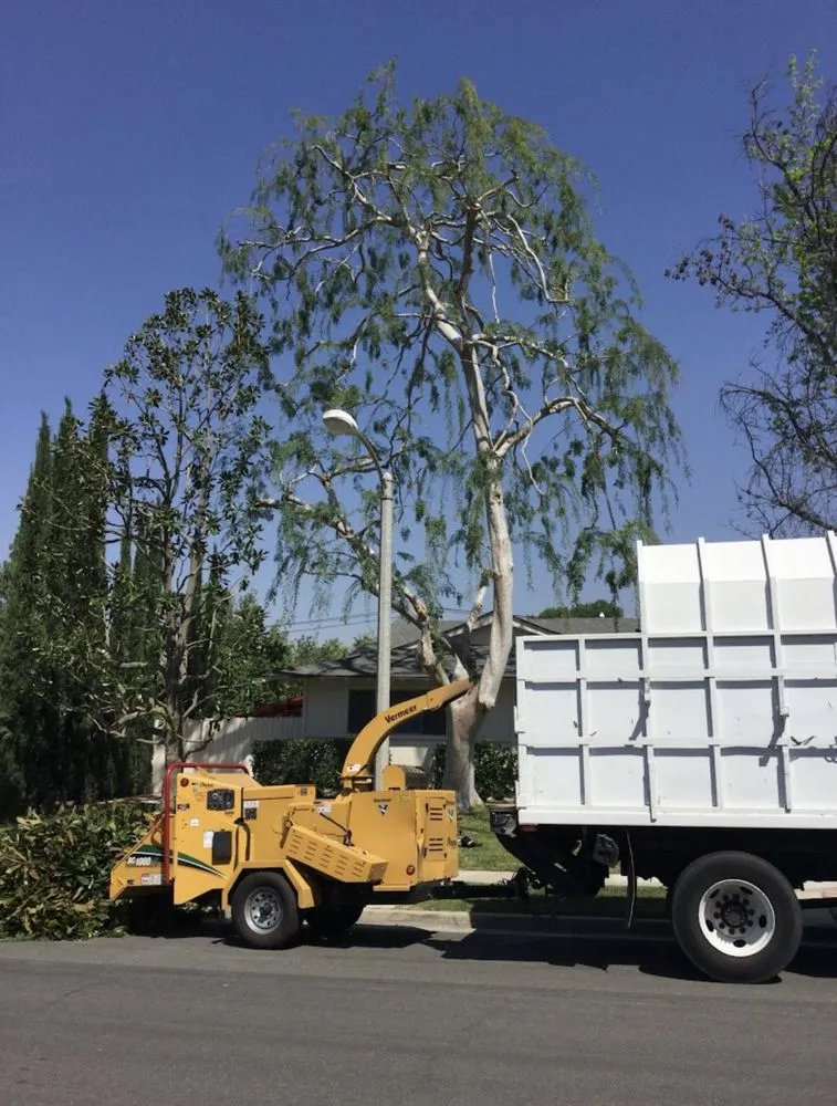 Reliable outdoor landscaping for year-round maintenance in Yucaipa, CA by Yucaipa Tree Maintenance