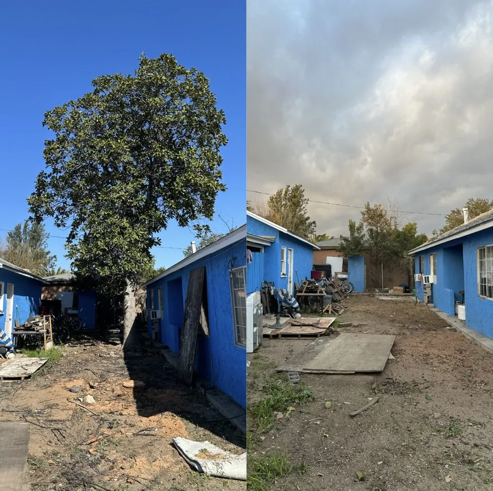 Top-rated landscaping services for year-round maintenance in Yucaipa, CA by Yucaipa Tree Maintenance