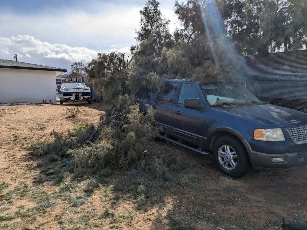 Top-rated landscape installation in Joshua Tree, CA - Yucca Landscaping & Handyman Services