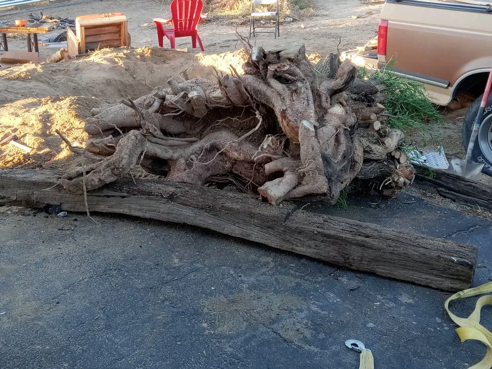 Reliable yard maintenance experts serving Joshua Tree, CA - Yucca Landscaping & Handyman Services