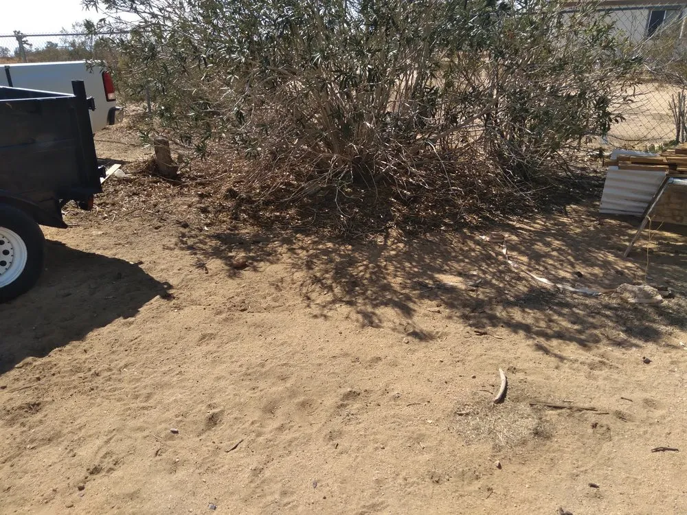 Expert garden landscaping for beautiful yards across Joshua Tree, CA - Yucca Landscaping & Handyman Services