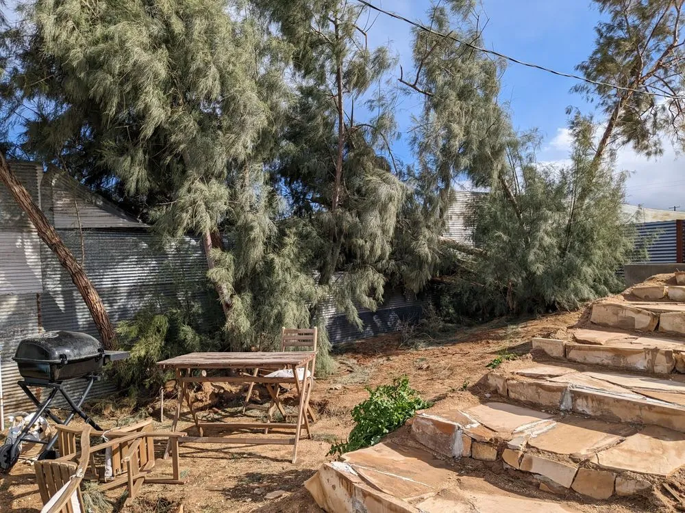 Top-rated lawn mowing service in Joshua Tree, CA by Yucca Landscaping & Handyman Services