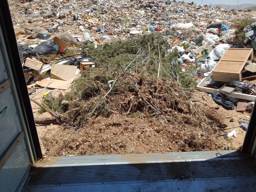 Top-rated lawn mowing service in Joshua Tree, CA by Yucca Landscaping & Handyman Services