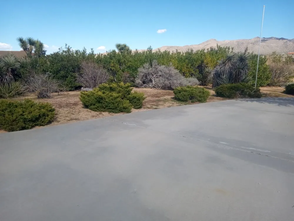 Affordable lawn care service in Joshua Tree, CA - Yucca Landscaping & Handyman Services