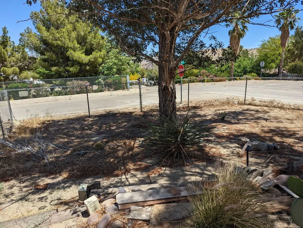 Local yard maintenance for residential properties in Joshua Tree, CA by Yucca Landscaping & Handyman Services