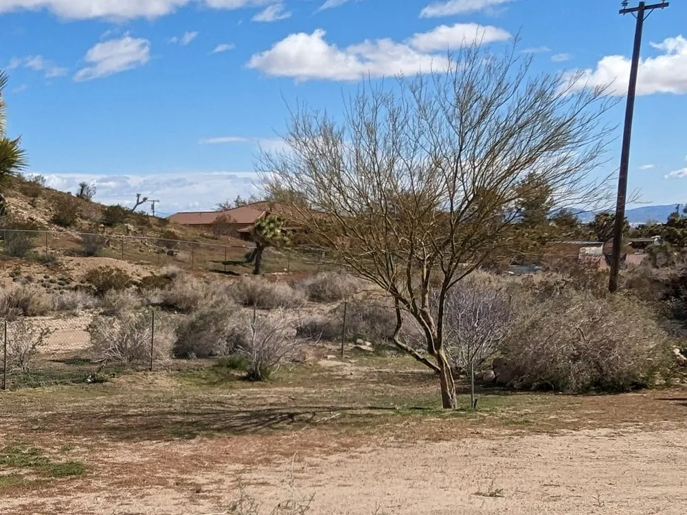 Expert outdoor landscaping near you across Joshua Tree, CA - Yucca Landscaping & Handyman Services