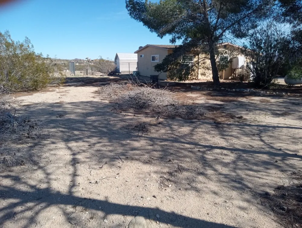 Professional lawn mowing service in Joshua Tree, CA - Yucca Landscaping