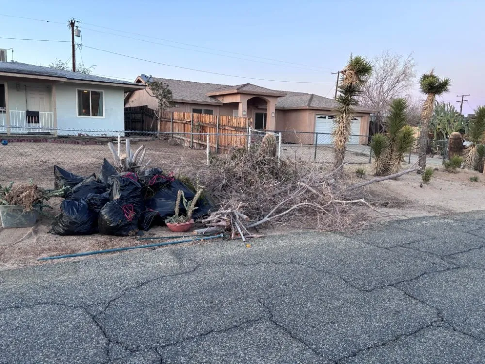Expert yard maintenance for beautiful yards across Joshua Tree, CA - Yucca Landscaping