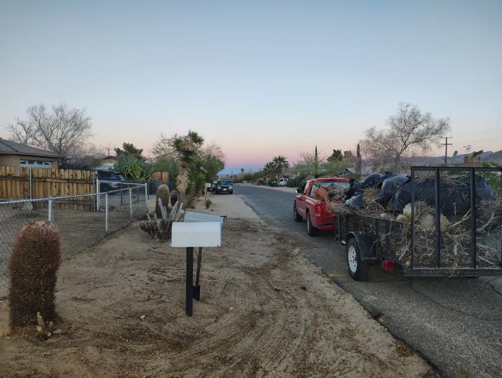 Trusted residential landscaping in Joshua Tree, CA by Yucca Landscaping