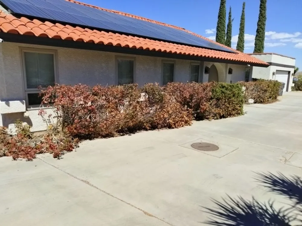 Professional residential landscaping in Joshua Tree, CA - Yucca Landscaping