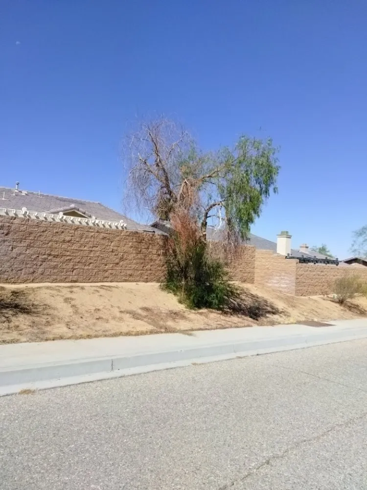 Reliable landscape installation experts serving Joshua Tree, CA - Yucca Landscaping