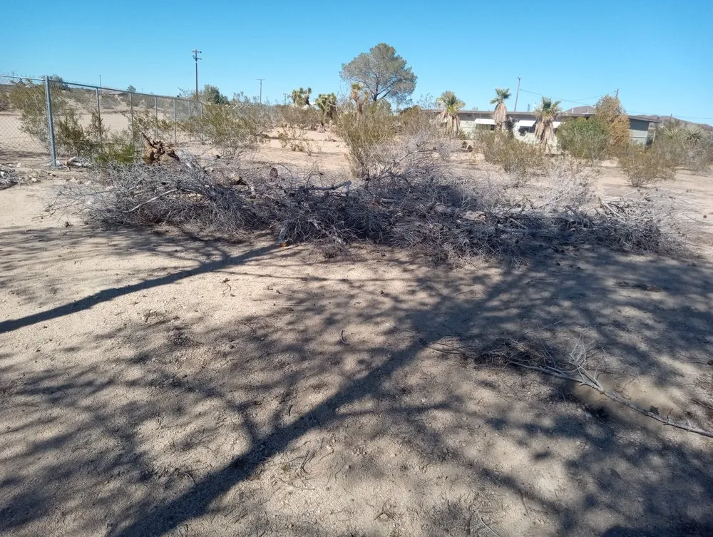 Reliable lawn mowing service for beautiful yards across Joshua Tree, CA - Yucca Landscaping