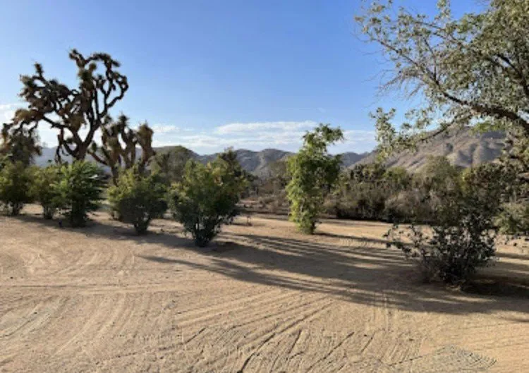 Custom landscape installation for residential properties across Yucca Valley, CA - Yucca Yards