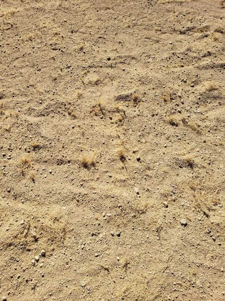 Reliable landscape installation in Yucca Valley, CA by Yucca Yards