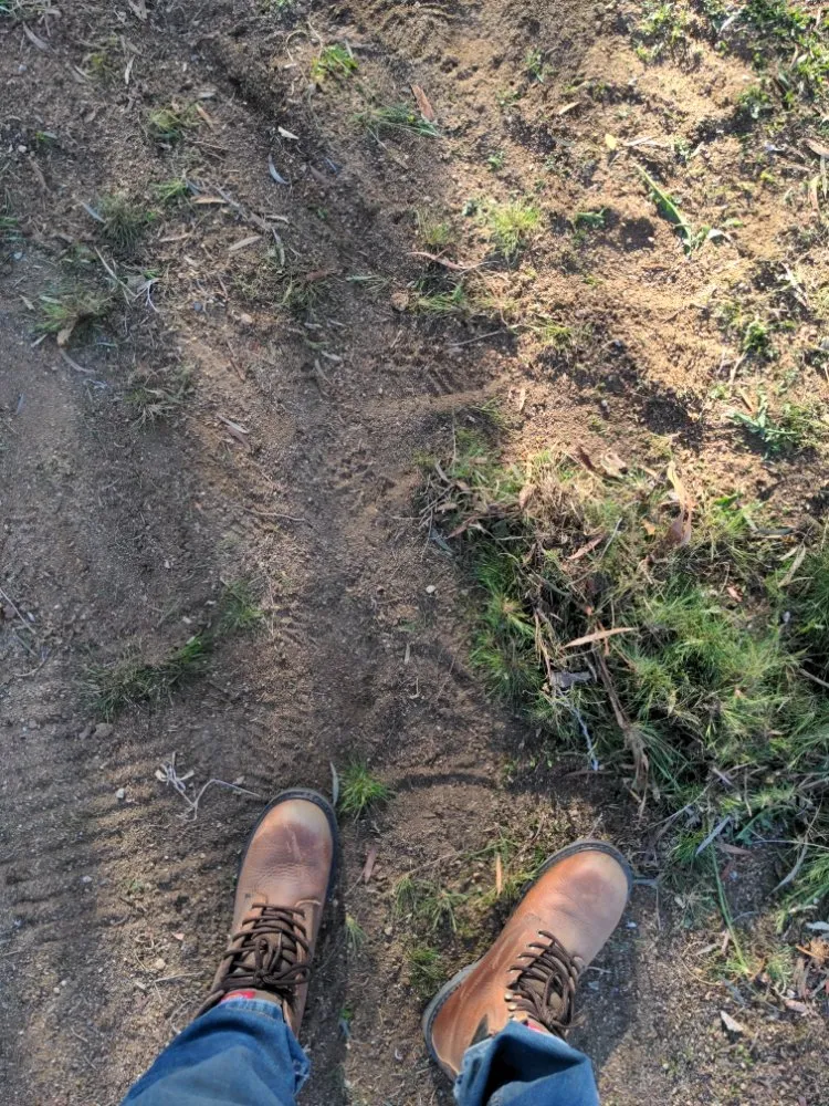 Local garden landscaping in Yucca Valley, CA - Yucca Yards