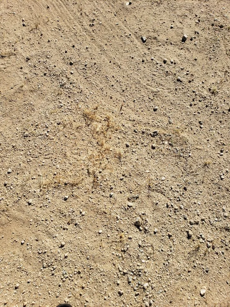 Trusted yard maintenance experts serving Yucca Valley, CA - Yucca Yards