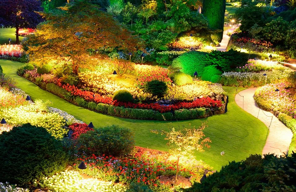 Trusted garden landscaping for homes across Yuma, AZ - Yuma Landscaping Pros