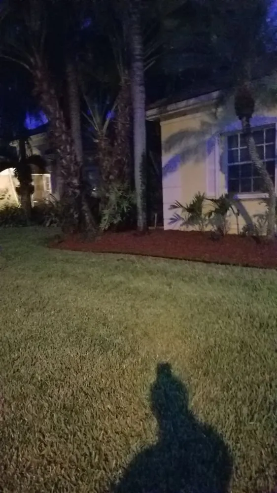 Reliable residential landscaping in Miami, FL by Yunet's Landscaping