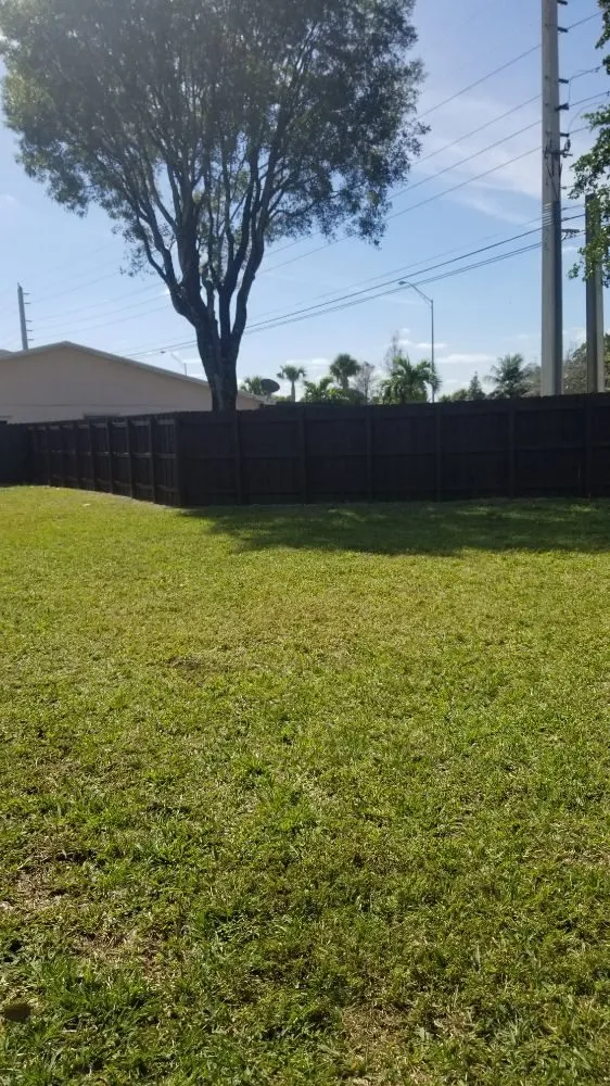 Affordable residential landscaping experts serving Miami, FL - Yunet's Landscaping