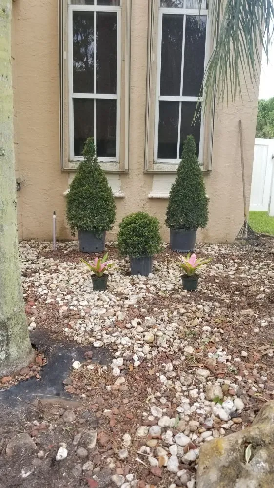 Reliable yard cleanup service near you in Miami, FL by Yunet's Landscaping