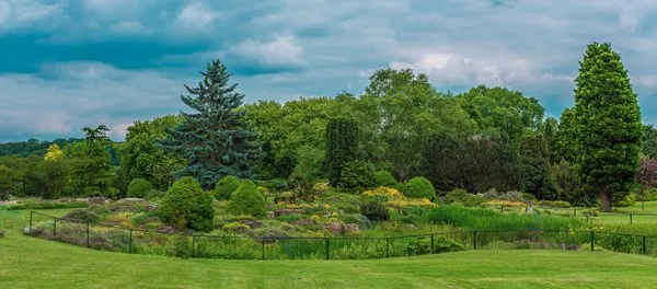 Yunet's Landscaping Logo