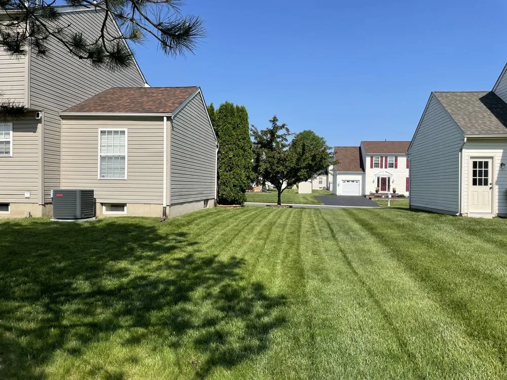 Professional yard cleanup service experts serving New Castle, DE - Yung Kngz Lawn Care