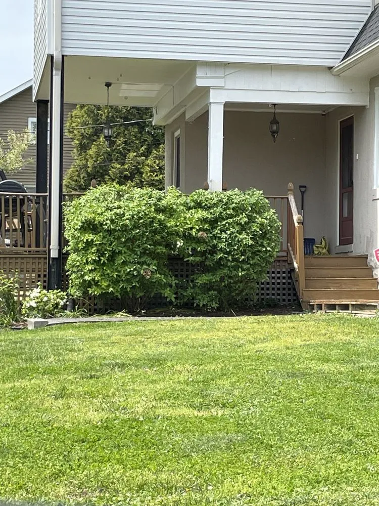 Trusted landscape installation experts serving New Castle, DE - Yung Kngz Lawn Care